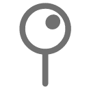 Pin icon